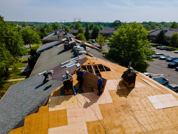 Best Commercial Roofing Services  in Lubeck, WV