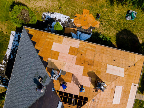 Best Storm Damage Roof Repair  in Lubeck, WV