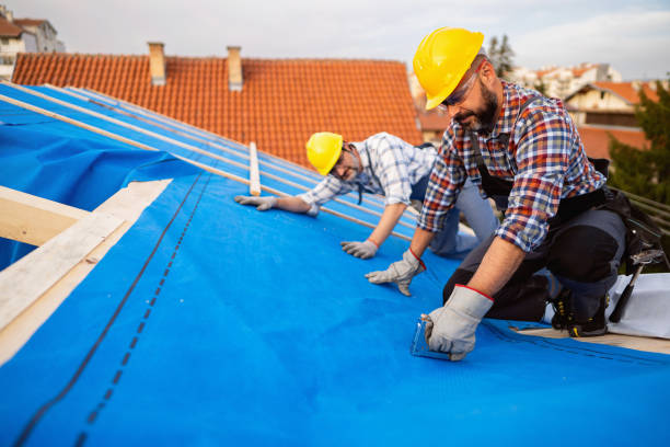 Best New Roof Installation  in Lubeck, WV
