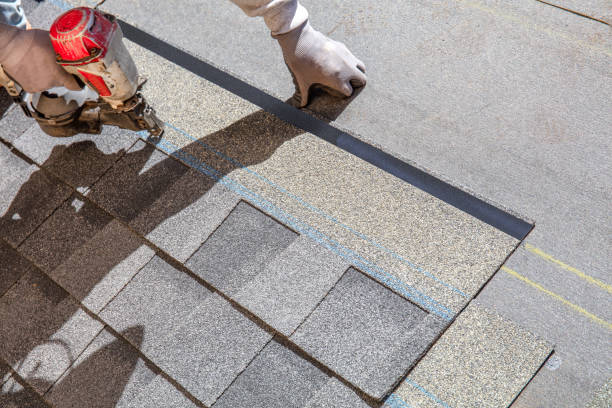 Best Local Roofing Companies  in Lubeck, WV